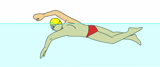 游泳的正确技巧与训练计划